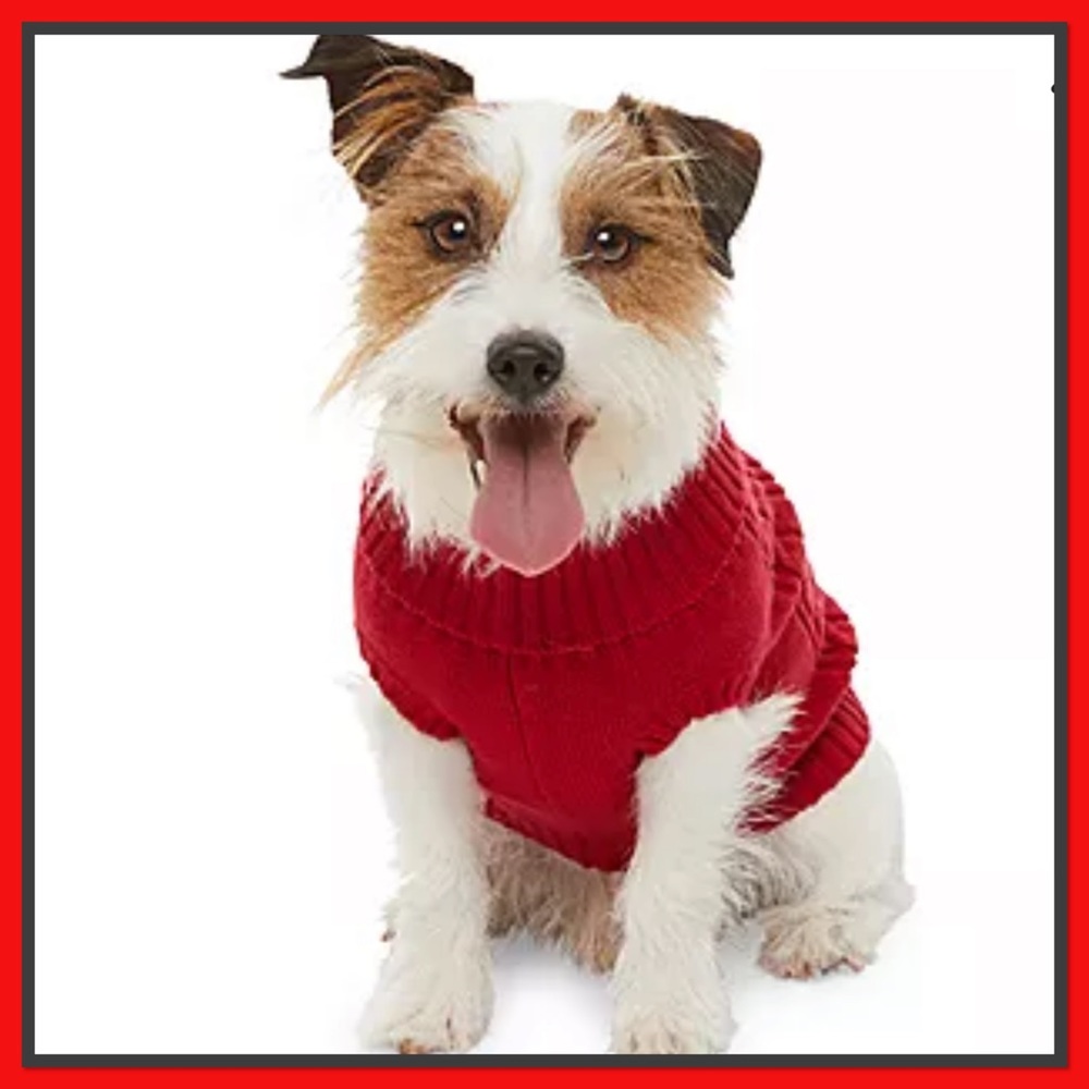 🎄NWT🎄Red Dog’s Winter Sweater🎄